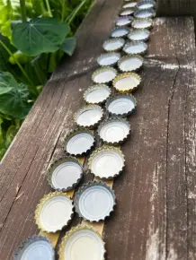 Nacktschnecken erfolgreich abwehren