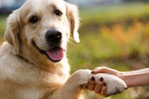 15 Begrüßungen weltweit – Griaß di, Ciao und Namaste #FunFriday