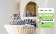 Katzen-Kletterwand Test & Vergleich: 6 günstige Empfehlungen