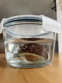 Avocado aufbewahren, ohne dass sie braun wird