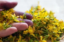 Johanniskraut: Stimmungsaufheller gegen Depressionen