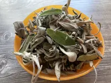 Hustensaft selber machen – 3 schnelle Rezepte