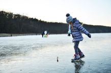 „Warum erfrieren Fische nicht im Eis?“