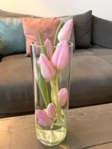 Tulpen kreativ in der Vase arrangieren