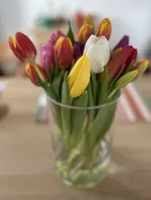 Tulpen kreativ in der Vase arrangieren