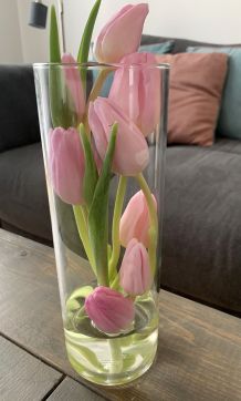 Tulpen kreativ in der Vase arrangieren
