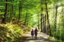 Tipps gegen Frühjahrsmüdigkeit