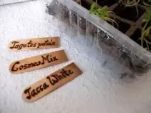 Pflanzenstecker aus Eisstielen selber machen - Upcycling DIY