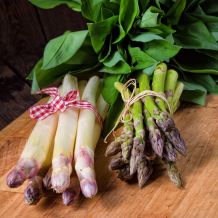 Frischen Spargel erkennen, lagern & zubereiten