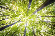 "Bernhards Welt" – Wie optimiere ich mich selbst?