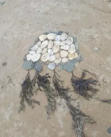 Strandkunst mit Strandgut