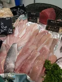 Frischen Fisch beim Einkauf erkennen
