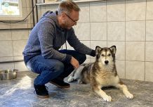 Gewinne ein kleines Weihnachtswunder: mit einer Tierheim-Patenschaft