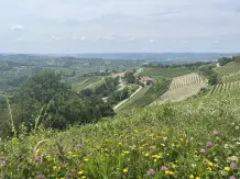 "Bernhards Welt" – deutscher Sommer in Italia