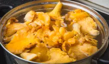 Pilze einfrieren – so geht's richtig