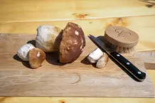Pilze einfrieren – so geht's richtig