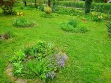 Blumeninseln im Garten anlegen – so belebst du triste Rasenflächen
