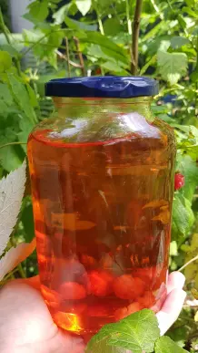 Himbeeressig selbst machen