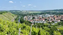 "Bernhards Welt" – Bleib doch einfach mal hier
