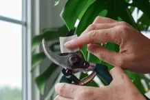 Gartenschere reinigen - so geht's richtig