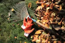 Gartenarbeit im Herbst – was ist zu tun?
