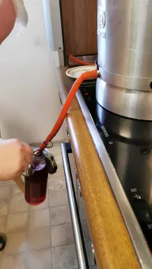 Traubensaft selber machen