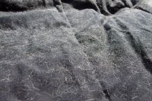 Tierhaare und andere Fussel auf Kleidung: Wasser