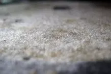 Flecken auf dem Teppich