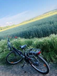 Fahrrad sicher im Fahrradständer