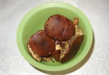Pfifferlinge und andere Waldpilze waschen