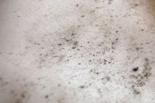 Hilfe gegen Stockflecken (Schimmelflecken): Natriumhypochlorit