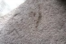 Flecken im Teppich weg mit Backpulver, Hefepulver und Milch