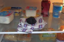 Unangenehme Gerüche im Kühlschrank
