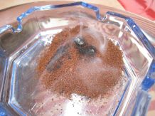 Wespen vertreiben mit Kaffeepulver