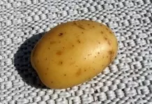 Kartoffeln gegen Spinatflecken