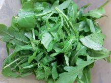 Rucola-Frischetest