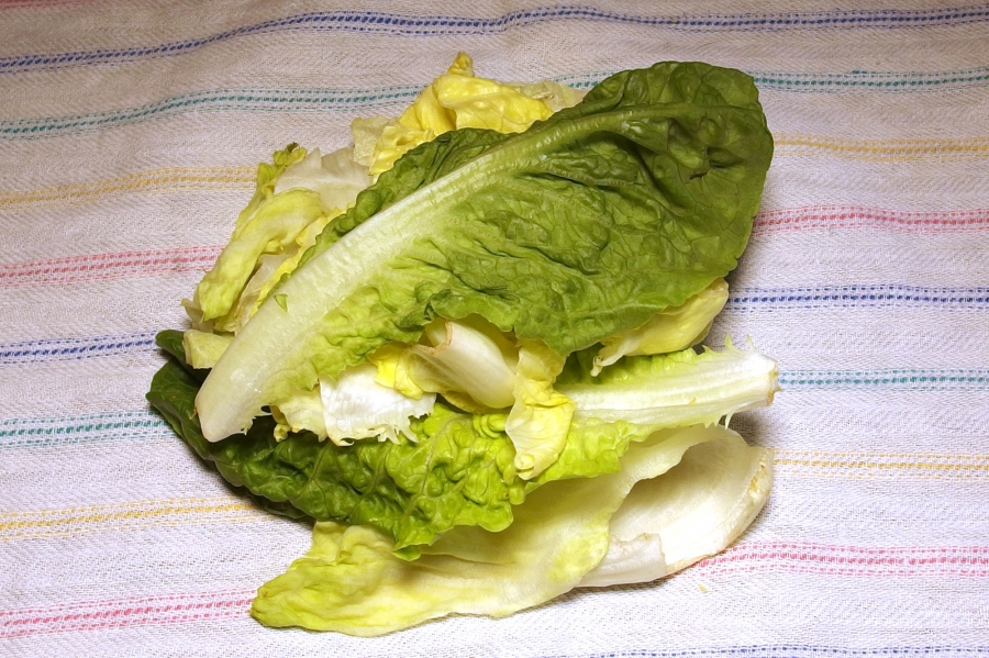 Gewaschenen Salat ohne Salatschleuder trocken schleudern.