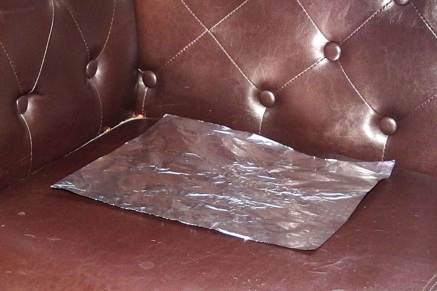 Katze pinkelt aufs Sofa? Hier ein simpler Trick: Alufolie (welche Seite ist egal), auf die Fläche gelegt, und Schluss ist mit pieseln.