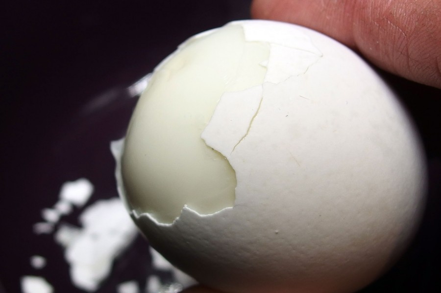 Der Grund, warum die Schale am Ei oder umgekehrt, hängen bleibt, liegt einfach daran, dass das Ei noch "zu frisch" ist, gerade bei legefrischen Eiern. 