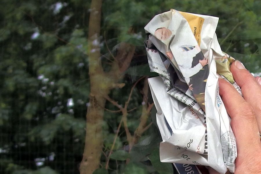 Fenster Werden Blitzeblank Mit Zeitungspapier Frag Mutti