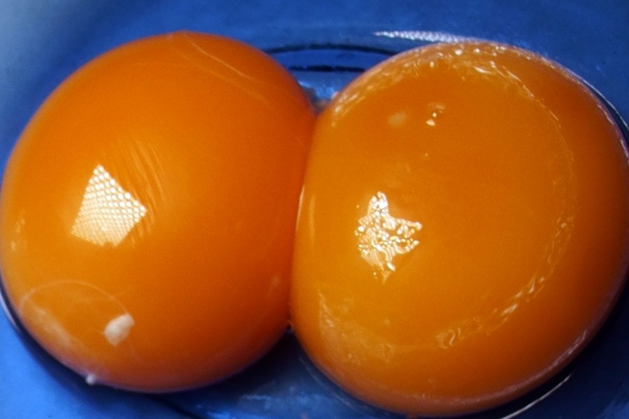 Eier einfrieren: Erst das Ei trennen und dann Eigelb bzw. Eiweiß getrennt voneinander in einem Eiswürfelbehälter tiefkühlen. 
