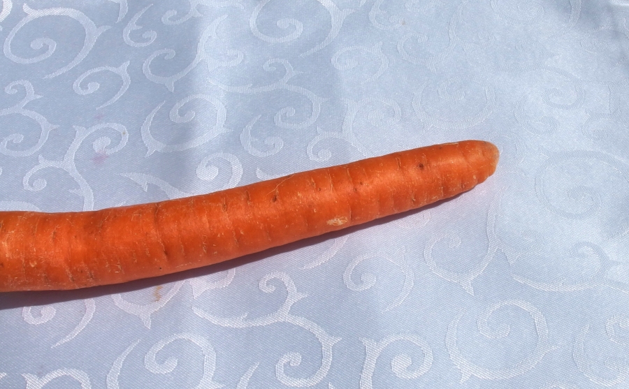 So kann man Karottenflecken bei weißen Kleidungsstücken ganz einfach verschwinden lassen.