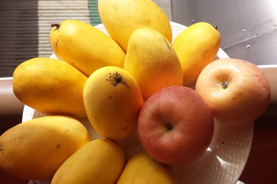 Grüne unreife Mangos auf Äpfeln nachreifen lassen.