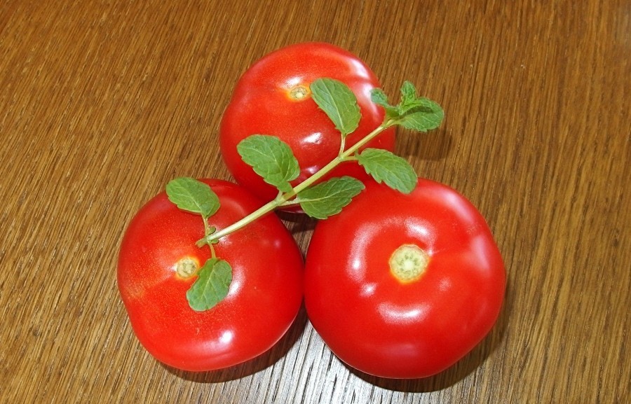 Tomatensoße aufpimpen: Tomatensoße schmeckt frischer und viel leckerer mit Pfefferminze.