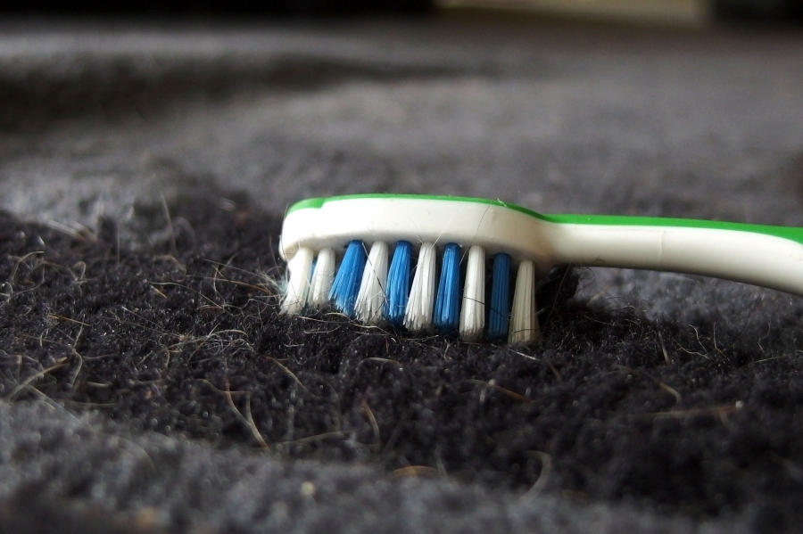 Haare auf dem Teppich kann man mit einer Zahnbürste entfernen.