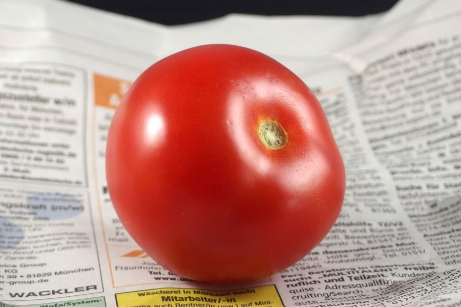 Tomaten kann man eingewickelt in Zeitungspapier nachreifen lassen.