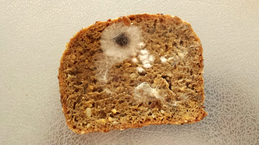 Ist einmal Brot im Brotkasten verschimmelt, muss dieser sehr gut gereinigt werden. Das geht super mit Backpulver.
