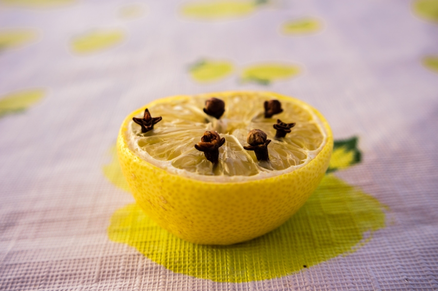 Gewürznelken und Zitrone gegen lästige Obstfliegen