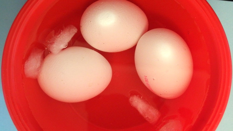 Eier schälen in Sekunden - Eier nach dem Kochen mit Eiswasser abschrecken.