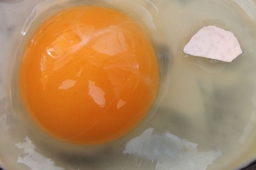 Eierschalenstück aus dem Ei entfernen mithilfe einer Einwegspritze.
